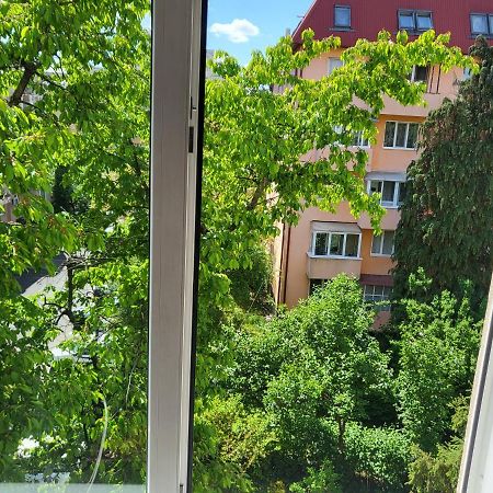 Apartament Florilor Baia Mare Exteriör bild
