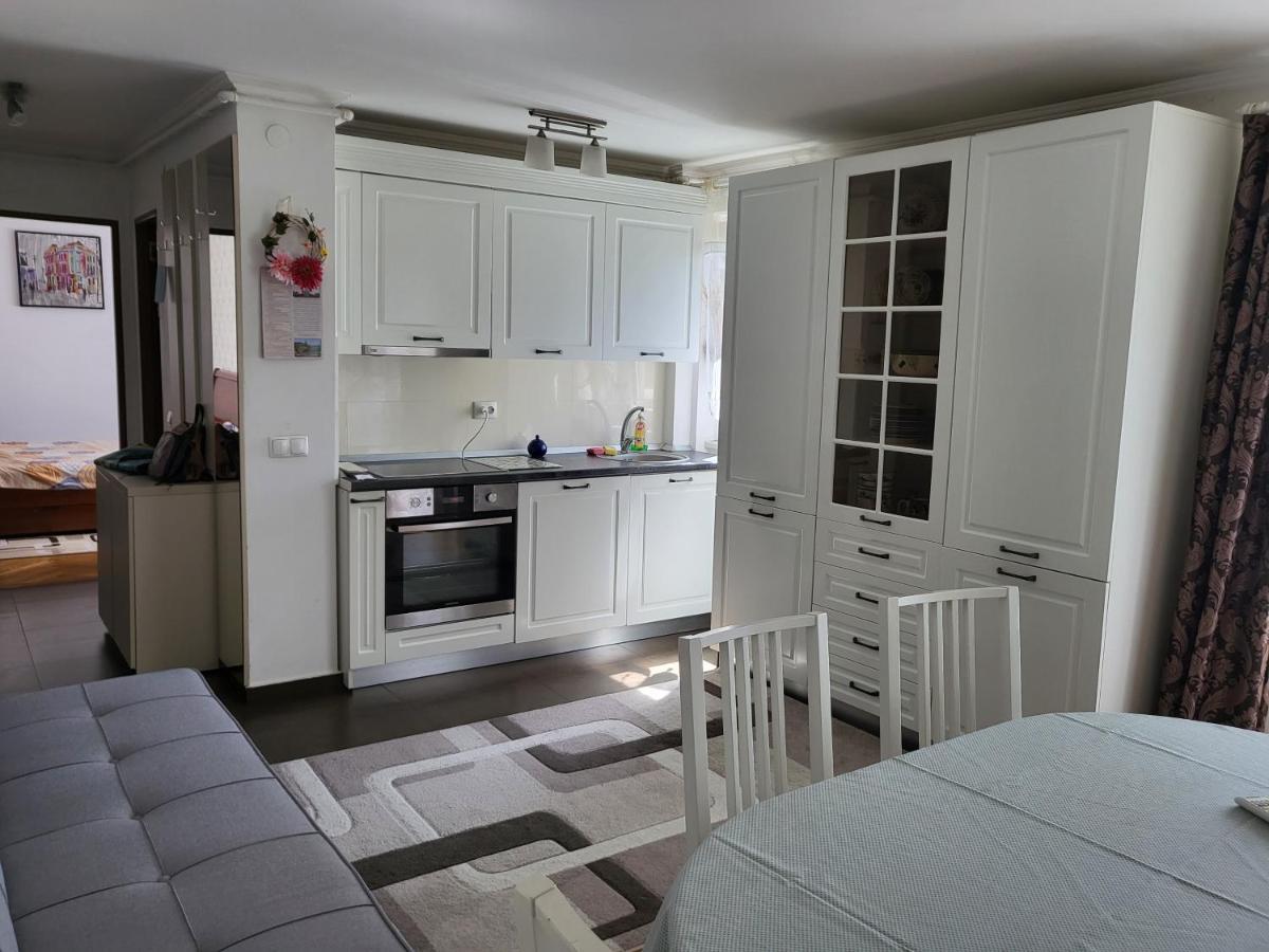 Apartament Florilor Baia Mare Exteriör bild