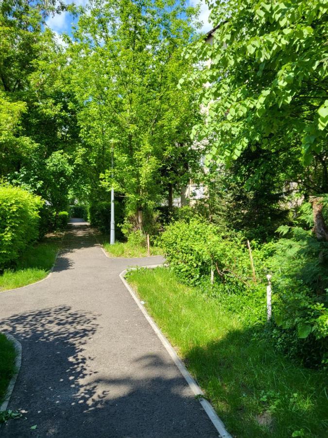 Apartament Florilor Baia Mare Exteriör bild